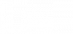 Dachshund Charity UK - Suloti Dachshund Support